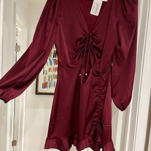 Wine Colored Silky Dress